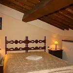 Degli Olivi Castiglion Fiorentino