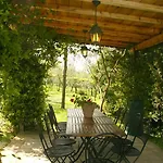 Degli Olivi