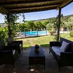 Degli Olivi *