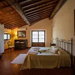 Degli Olivi * Castiglion Fiorentino