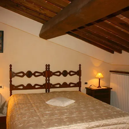 Degli Olivi Castiglion Fiorentino