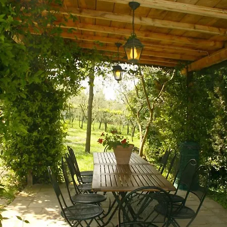 Degli Olivi