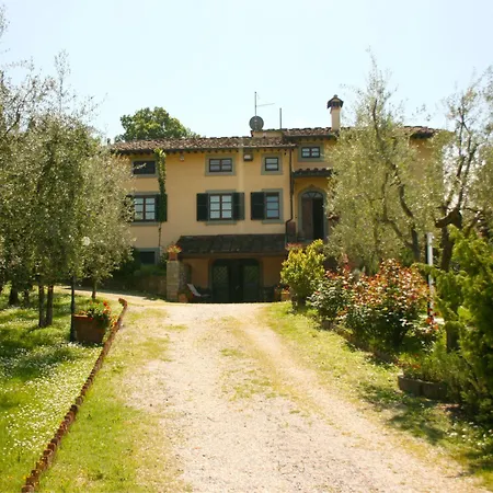 Degli Olivi