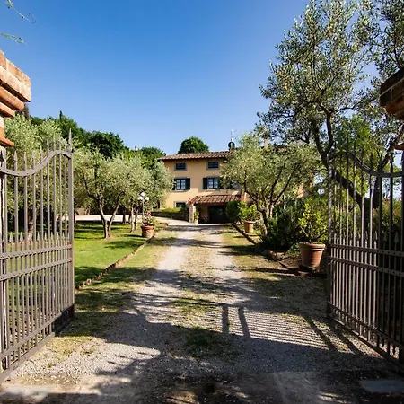 Degli Olivi *