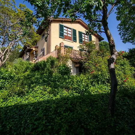 Degli Olivi Castiglion Fiorentino
