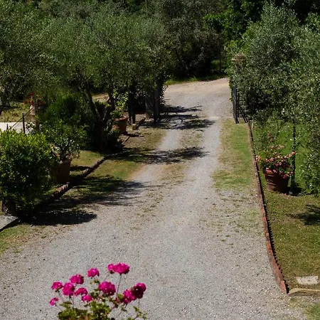 Degli Olivi *