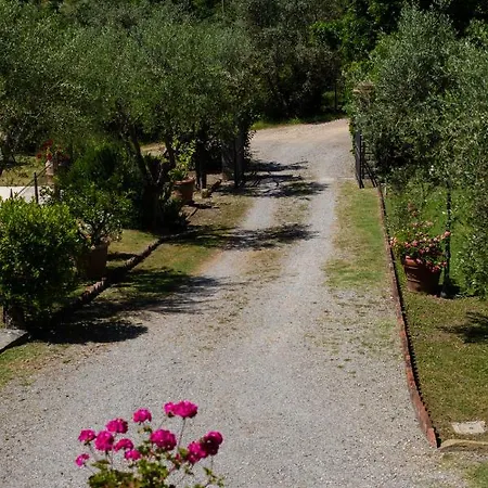 Degli Olivi *