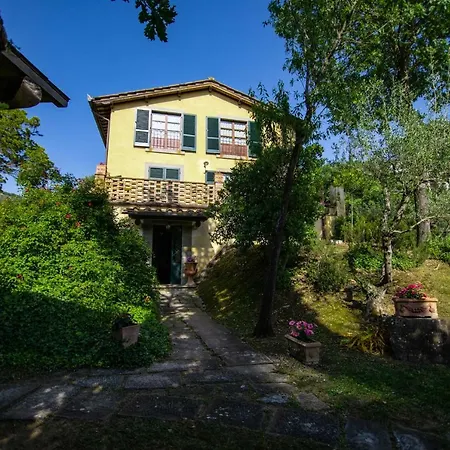 Degli Olivi Villa Castiglion Fiorentino