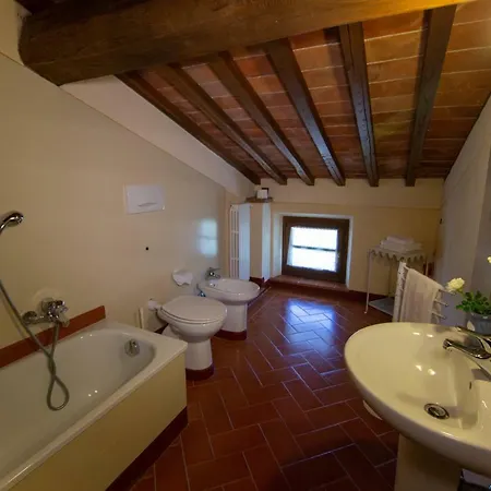 Degli Olivi Castiglion Fiorentino